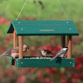 Duncraft Bird-Safe® Arch Platform Feeder