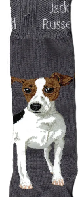 FBF Realistic Jack Russell Sock